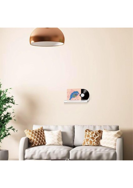 Akrilik Vinil Plak Yüzer Raflar 6 Paket, Ekran Için Akrilik Plak Rafı, Vinil Plak Ekran Tutucu (7 Inç) B (Yurt Dışından)