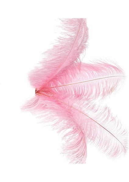 20 Adet Doğal Devekuşu Tüyleri Düğün Parti Dekorasyon Pembe 20-25 cm (Yurt Dışından) fiyatları