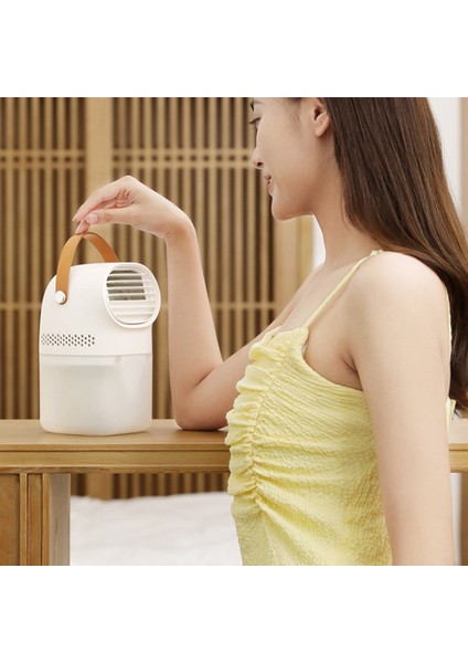Masaüstü Klima Negatif Iyon Soğutucu Fan Arıtma Nemlendirme Ev Ofis Için Mini USB Soğutma (Yurt Dışından)