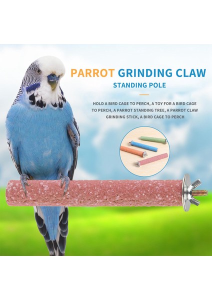 Adet Kavrama Kuş Kafesleri Conures Parakeets Lovebirds Cockatiels ile Uyumlu Tünek, Tırnakları ve Gagaları En Iyi Durumda Tutun ile Iyi Uyumlu (Yurt Dışından) fırsatları