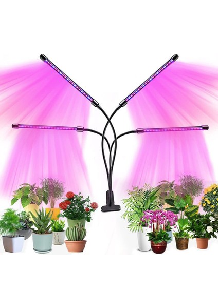 Iç Mekan Bitkileri Için Işık Büyütün Tam Spektrumlu Bitki Sabitleyici Stand ile Işık Büyütün Sera Bitkileri Için Lamba Şeridi Büyütün (Yurt Dışından) fiyatları