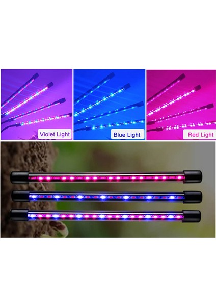 Iç Mekan Bitkileri Için Işık Büyütün Tam Spektrumlu Bitki Sabitleyici Stand ile Işık Büyütün Sera Bitkileri Için Lamba Şeridi Büyütün (Yurt Dışından) indirimleri