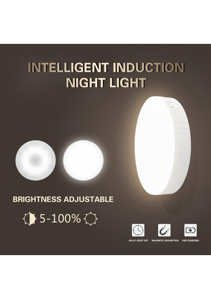 Декоративное Освещение,2x Pır Hareket Sensörü LED Gece Lambası USB Şarj Edilebilir Kısılabilir Gece Lambası Kabine Işık Kablosuz Dolap Işığı -Beyaz (Yurt Dışından)