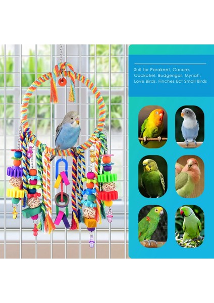 Kuş Oyuncakları, Renkli Çiğneme Oyuncakları ile Kuş Salıncak Oyuncak Kuş Levrek, Aşk Kuşları, Ispinozlar, Muhabbet Kuşları, Muhabbet Kuşları ile Uyumlu (Yurt Dışından) fırsatları