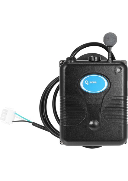 220V 300MG/H Ozon Jeneratörü Küvet Duş Spa Yüzme Havuzu Ozonizer Küvet Havuz Su Arıtıcısı Yedek Cihaz Kiti Vana Hortumu (Yurt Dışından)