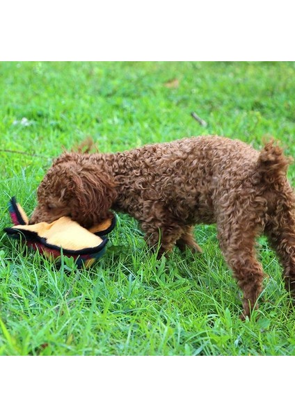 Köpek Cızırtılı Oyuncaklar Sevimli Gecko Tasarım Dolması Peluş Oyuncak Interaktif Oyuncaklar ile Uyumlu Yavru Küçük Orta Köpek Evcil Hayvanlar 1 Adet (Yurt Dışından) fırsatları