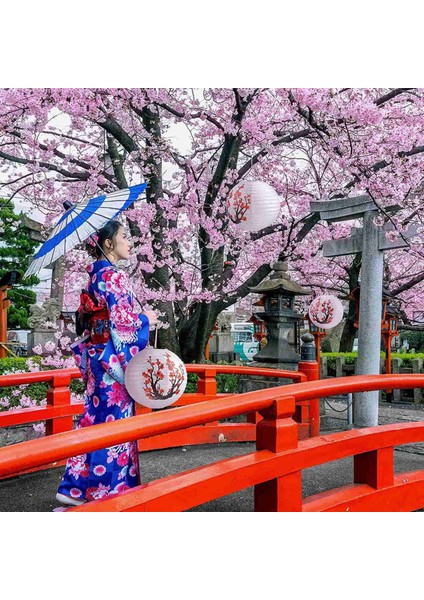 12 Paket 12 Inç Kırmızı Kiraz Çiçekleri Kağıt Fener Yuvarlak Çin Japon Kağıt Lamba Ev Düğün Parti Dekorasyon Için (Yurt Dışından)