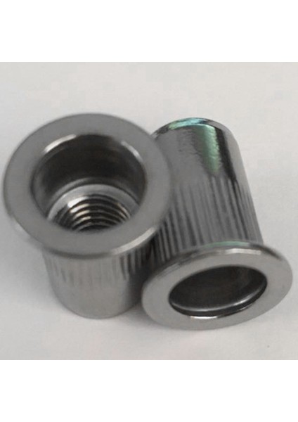 60 Adet M8 Perçin Somunları Paslanmaz Çelik Dişli Perçin Ekleme Somunları M8-1.25MM (Yurt Dışından)