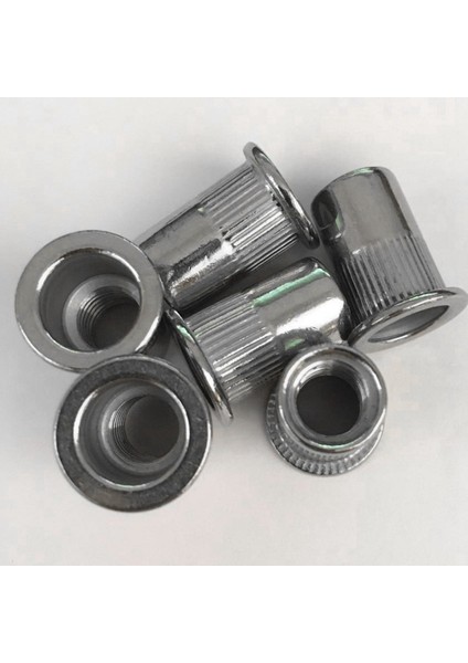 60 Adet M8 Perçin Somunları Paslanmaz Çelik Dişli Perçin Ekleme Somunları M8-1.25MM (Yurt Dışından)