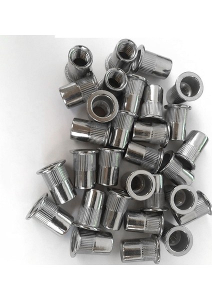 60 Adet M8 Perçin Somunları Paslanmaz Çelik Dişli Perçin Ekleme Somunları M8-1.25MM (Yurt Dışından)