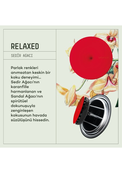 Araba Klima Kokusu, Spin Oto Kokusu 6'lı Set