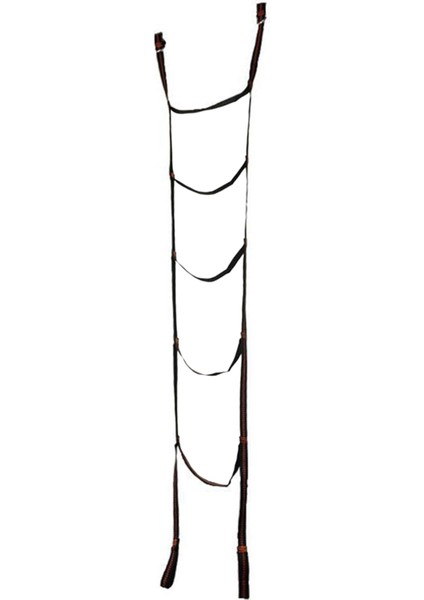 Güçlü Dokuma Merdiven 5 Adımlı Halat Merdiven Salıncak, Dış Mekan Ağaç Tırmanışı Kurtarma Çalışmasıyla Uyumlu Karabinalarla (Yurt Dışından)