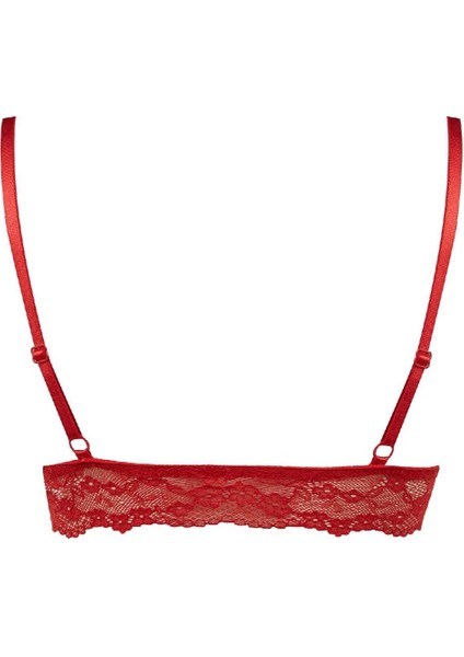 Pedli Dantelli Kırmızı Bralet D7843AX24AU fiyatları