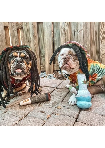 Komik Köpek Oyuncakları - Orta, Küçük ile Uyumlu Peluş Gıcırdayan Oyuncaklar - Köpeğin Doğum Günü ile Uyumlu Havalı Doldurulmuş Sevimli Hediyeler (Yurt Dışından) fiyatları