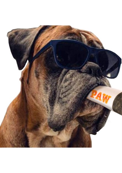 Komik Köpek Oyuncakları - Orta, Küçük ile Uyumlu Peluş Gıcırdayan Oyuncaklar - Köpeğin Doğum Günü ile Uyumlu Havalı Doldurulmuş Sevimli Hediyeler (Yurt Dışından) modelleri