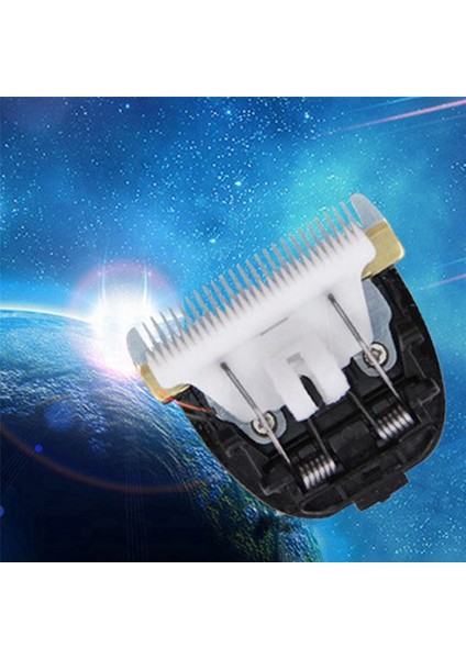 4x Bıçak Nozulları Evcil Hayvan Kırkma Makinesi Bıçak Çelik Kesici Köpek Saç Düzeltici Yedek Kafa Baorun 938 X1 X5 P3 P2 X7 P7 S1 T2 T3 C1 (Yurt Dışından) fiyatları