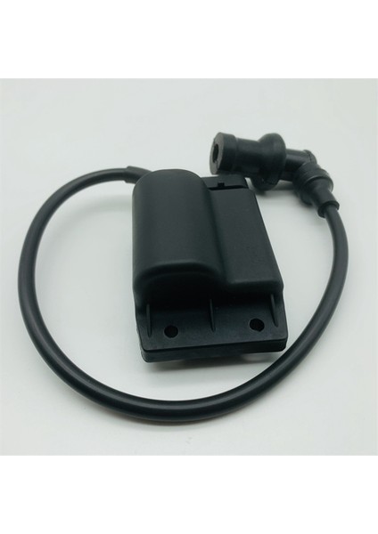 Vespa Liberty Rst / Sport 50 4t Için Motosiklet Bobini Cdı Vespa Et4 / Lx/ Lxv 50 Zip 50 4t (Yurt Dışından) indirimleri