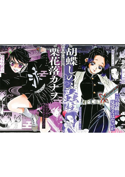 H05 Stili Anime Demon Slayer Kimetsu No Yaiba Kamado Tanjirou Nezuko Dosya Çanta Belgelik Düzenleyici Saklama Çantası Kırtasiye A4 (Yurt Dışından)