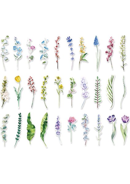 30 Adet-Kutu Stili Yeni Bitkiler Çiçek Kağıt Ayraç Kırtasiye Kitap Ayraç Kitap Tutucu Mesaj Kartı Okul Malzemeleri Kart Öğrenciler Için (Yurt Dışından) fiyatları