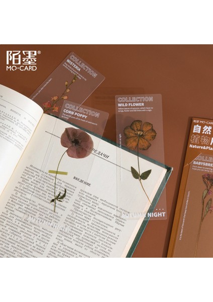 D Stili Et Şeffaf Ayraç Botanik Araştırma Enstitüsü Papatya Çiçeği Bullet Journaling Aksesuarları Deco Kitap Ayraç Kırtasiye (Yurt Dışından)