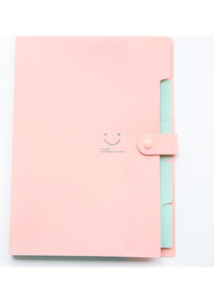 Type1 A4 Pembe Tarzı Su Geçirmez A4 A6 Dosya Çantası Organizatör Veri Kitabı Belge Büyük Kapasiteli Dosya Kılıf Fatura Tutucu Portföy Ofis Kırtasiye (Yurt Dışından)