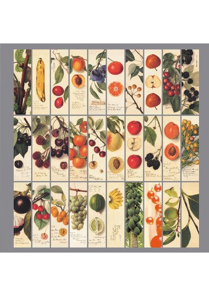 Mavi Stil Sevimli Çizgi Film Okuyan Kediler Kağıt Ayraç Sayfa Tutucu Mesaj Etiket Kartları Okul Ve Ofis Malzemeleri Öğrenci Kırtasiye (Yurt Dışından)