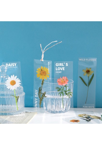 B Tarzı Doğa Bitkileri Kitap Ayraçları Saydam Kitap Ayraçları Benzersiz Kişiselleştirilmiş Kitap Sayfa Işaretçileri Öğretmenler Kız Ofis Okul leri (Yurt Dışından) modelleri