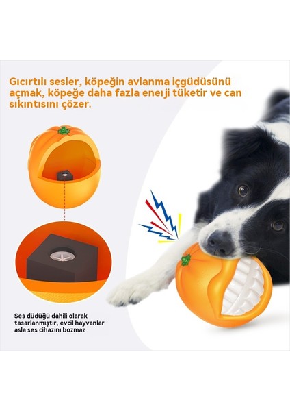 Evcil Hayvan Malzemeleri Yeni Isırmaya Da Lı Molar Top Ses Portakal Kalınlaşmış Köpek Oyuncakları (Yurt Dışından)
