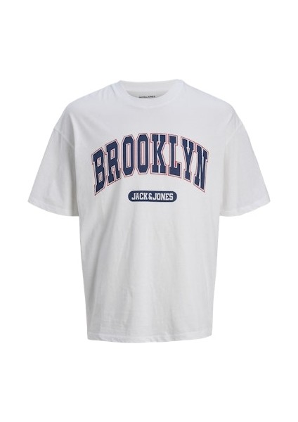 JErkek Pamuklu Yeşil Bisiklet Yaka Tişört 12269982