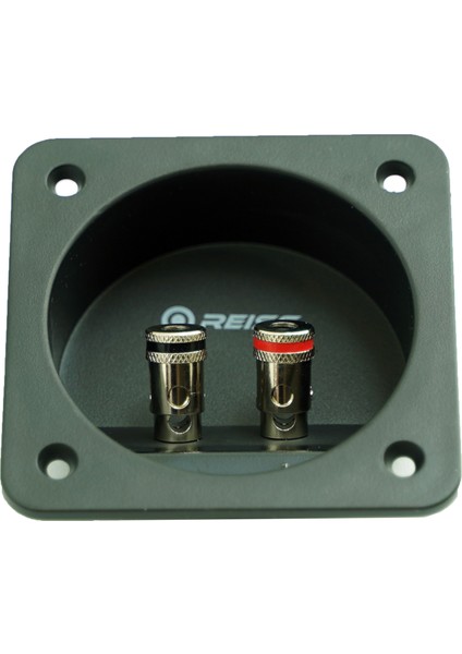 Rs-Spt2 2li Subwoofer Terminal