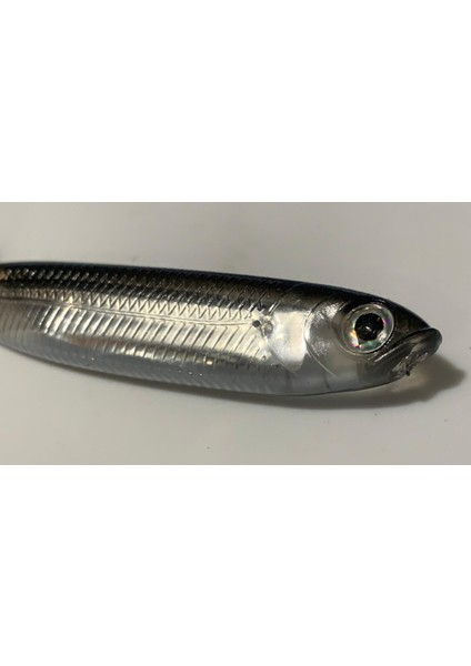 Real Fish Silikon Balık Yem Gri Renkli BÜYÜK BOY 10 cm modelleri