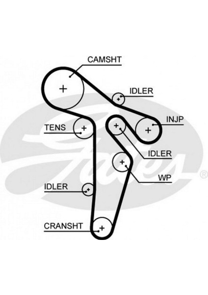 Triger Kayişi 160X250 Vw Transporter T5 2.0tdi 09 Caaa /caab /caac CT1139 Gnzrz