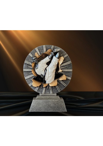 Ödül Kupası Dövüş Sanatları Karate 12CM Eninde 16CM Boyunda Gri , Ithal Döküm Kaliteli Kupa