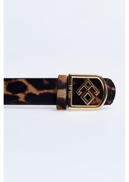 Di Leopar Kemer