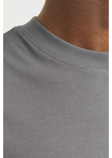 Jjebradley Tee Ss O-Neck Noos Gri 12249319