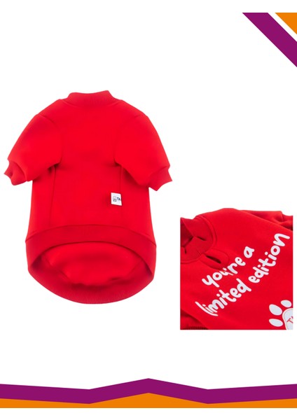 Basic Köpek Baskılı Sweatshirt Your'e A Limited Edition İçi Polarlı Kıyafet fiyatları