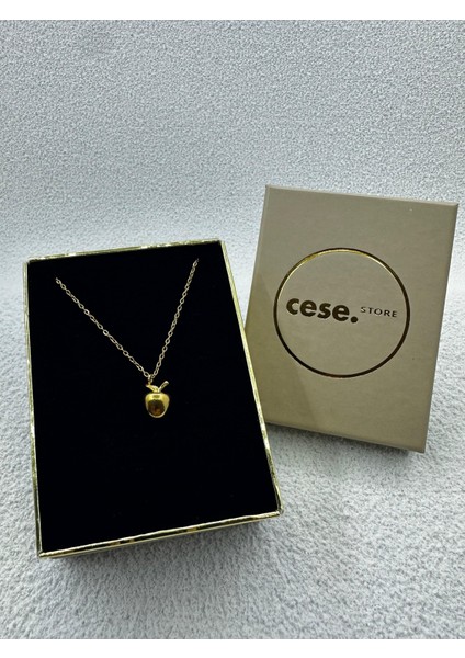 Celeste Shine Vıp Elma Uç Detay Kararmaz Çelik Kolye fiyatları