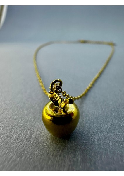 Celeste Shine Vıp Elma Uç Detay Kararmaz Çelik Kolye modelleri