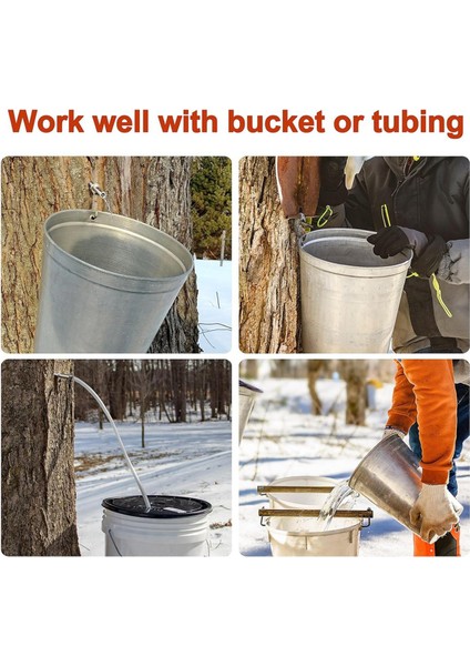 Paslanmaz Çelik Akçaağaç Şurubu Musluk Takımı, Ağaç Muslukları, Ağaçlar Için 6'lı ve 2 Fırçalı Kancalar (Yurt Dışından) indirimleri