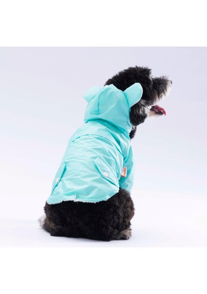 Mint Sydney Köpek Montu
