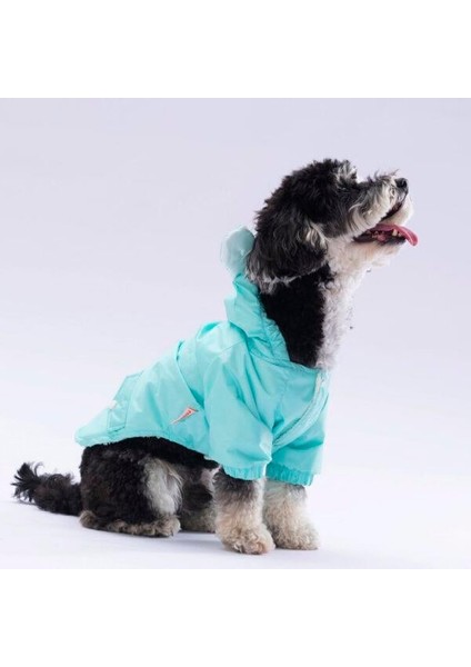 Mint Sydney Köpek Montu fiyatları