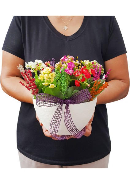 Cheerful Kalanchoe & Beyaz Kase Beton Saksıda Canlı Çiçekler Kuru Çiçek Lavanta Süslü Hediye modelleri