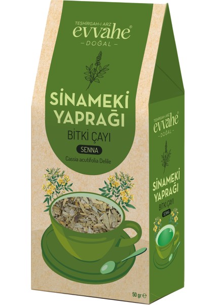 SİNAMEKİ YAPRAĞI (50 GRAM)