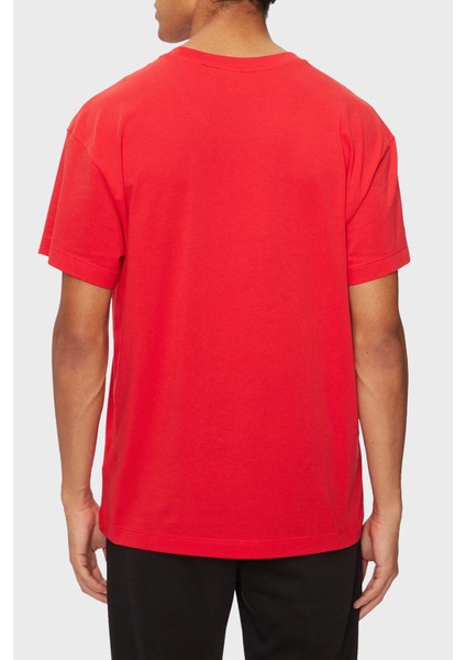 Pamuklu Regular Fit Bisiklet Yaka Logolu T Shirt Erkek T Shirt 50525236 693