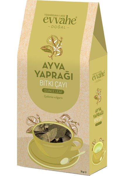 Ayva Yaprağı 75gr.