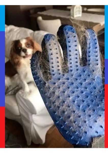 Mavi Kedi Köpek Tüy Toplama Masaj ve Kma Eldiveni fiyatları
