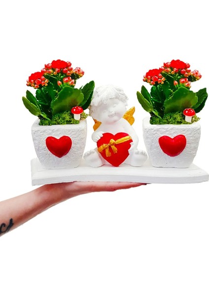 Eros Kalanchoe Set & Aşk Simgesi Eros Aşkın Çiçek Hali Hediye Çiçek Canlı Bitki fiyatları