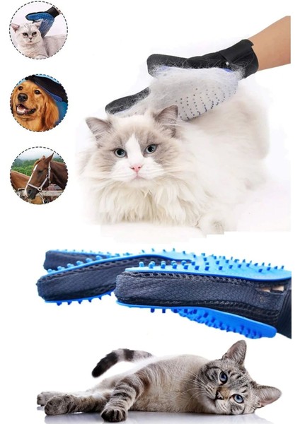 Mavi Kedi Köpek Tüy Toplama Masaj Ve Kma Eldiveni fiyatları