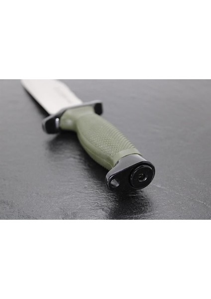 Bowıe Nato fırsatları