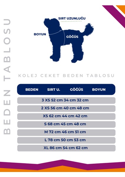 Kolej Ceket Köpek Logolu Los Angeles Kıyafet